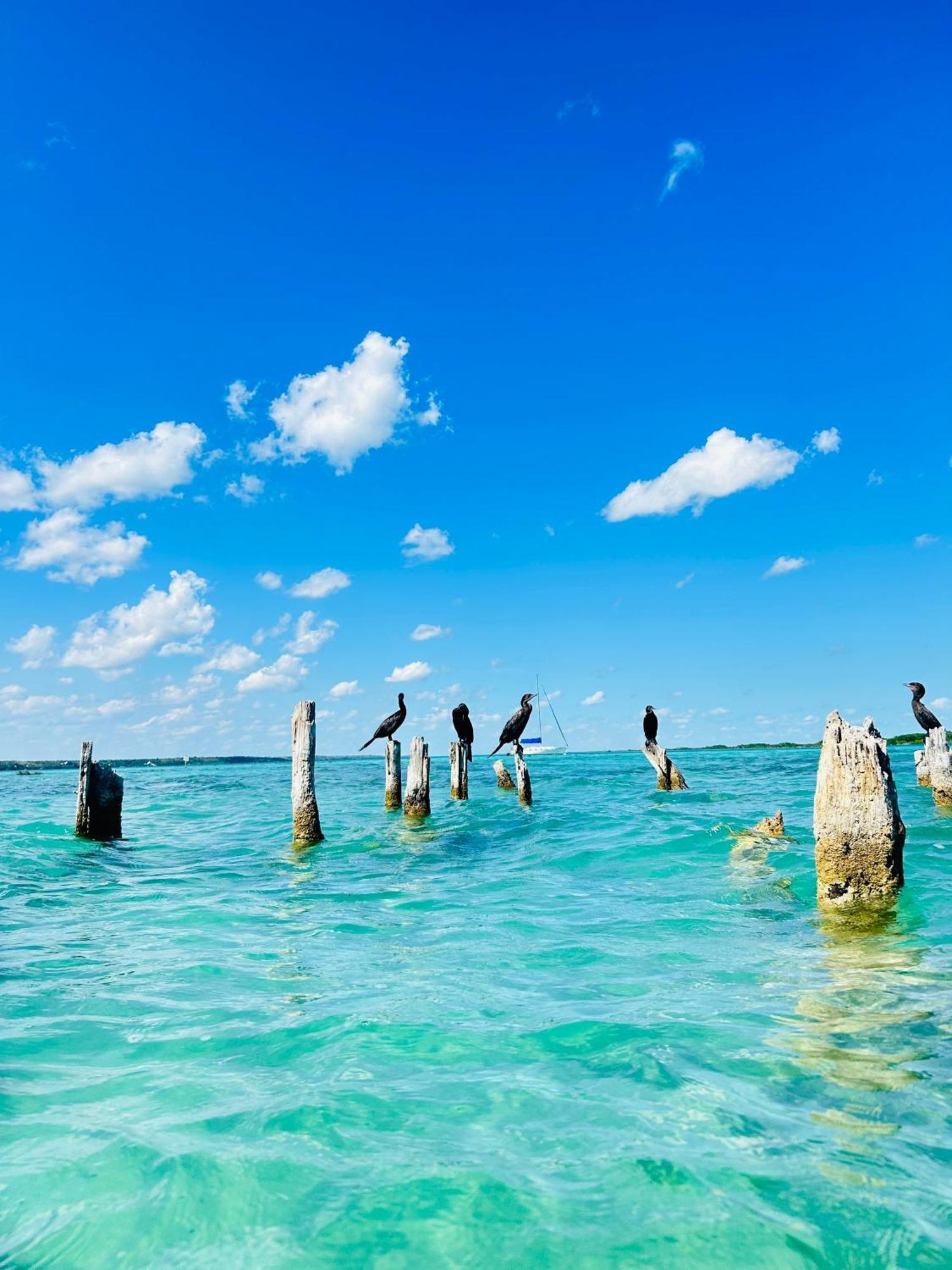 Departamentos Blue Bacalar Daire Dış mekan fotoğraf